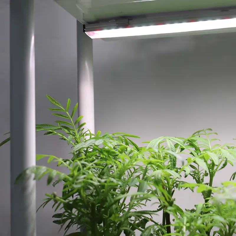 Indoor Herb Garden - Beweglicher Vertikaler 3-Ebenen-Gartenbehälter mit Selbstbewässerung und