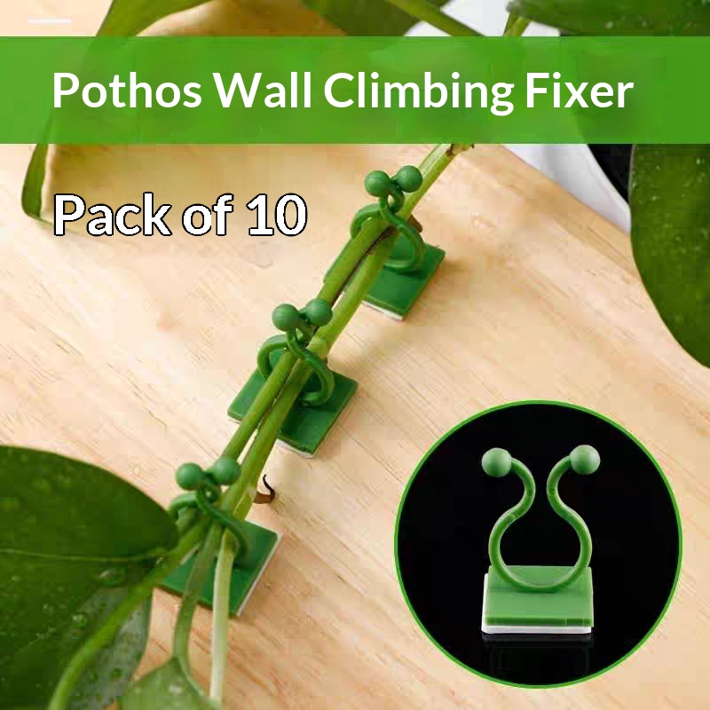 Indoor Herb Garden - Selbstklebende Pflanzen-Kletterwand-Befestigungsclips, Ranken-Rattan-Fixierhaken, bohrfreier Pflanzen-Organizer für