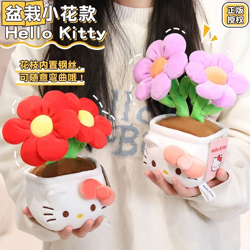 23 cm, authentisch, mit Etiket – Plant Pot Bewertung und Preis