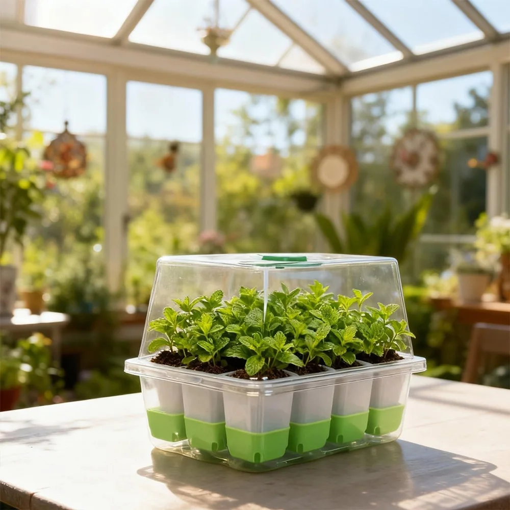 12-Zellen-Anzuchtschale mit tr – Seed Starter Tray Bewertung und Preis