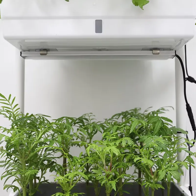 Beweglicher Vertikaler 3-Ebene – Indoor Herb Garden Bewertung und Preis