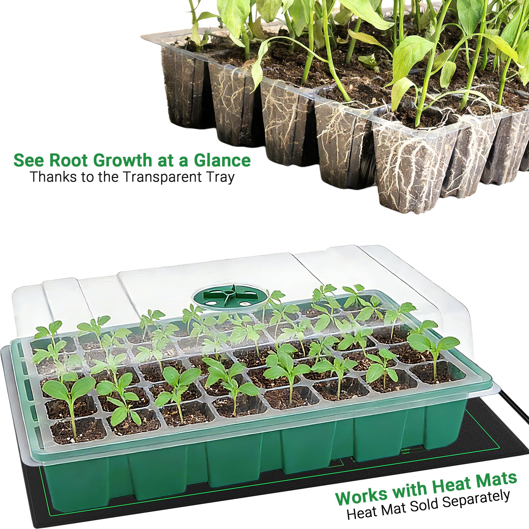 Mit transparenter Abdeckung, G – Seed Starter Tray Bewertung und Preis