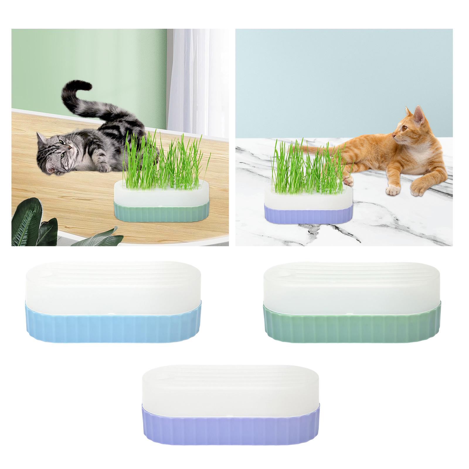 Samensprießschale mit Abflussl – Hydroponic Kit Bewertung und Preis
