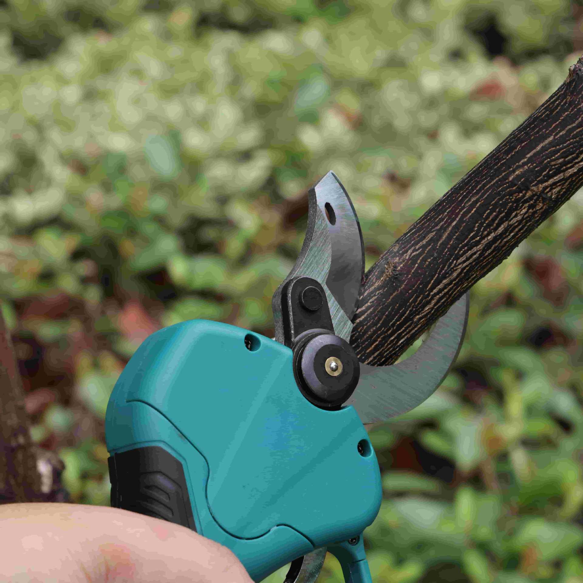 Hochleistungs-Gartenschere mit – Pruning Shears Bewertung und Preis