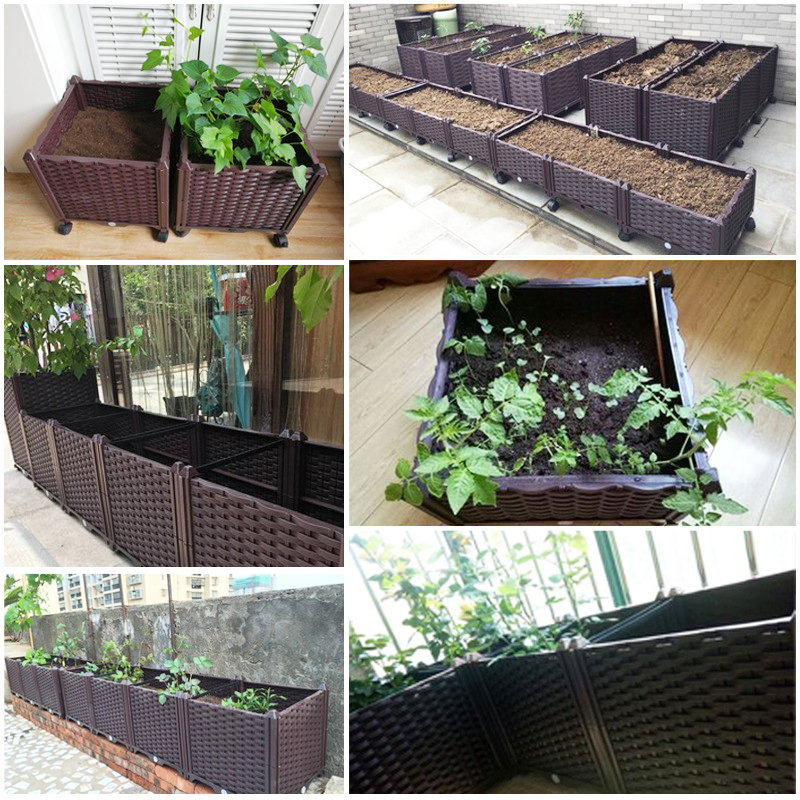 Selbstbewässerndes Hochbeet, P – Indoor Herb Garden Bewertung und Preis