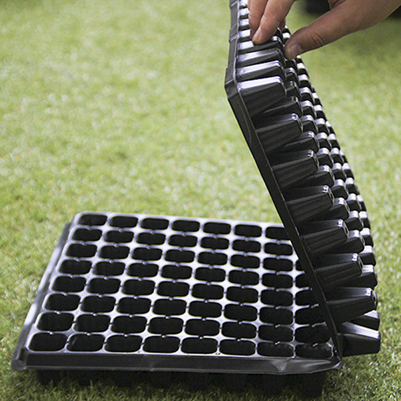 200 zellen Sämling Wachsenden  – Seed Starter Tray Bewertung und Preis