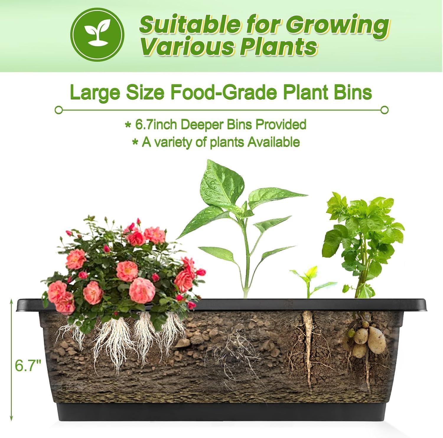 Vertikales Hochbeet mit Rädern – Indoor Herb Garden Bewertung und Preis