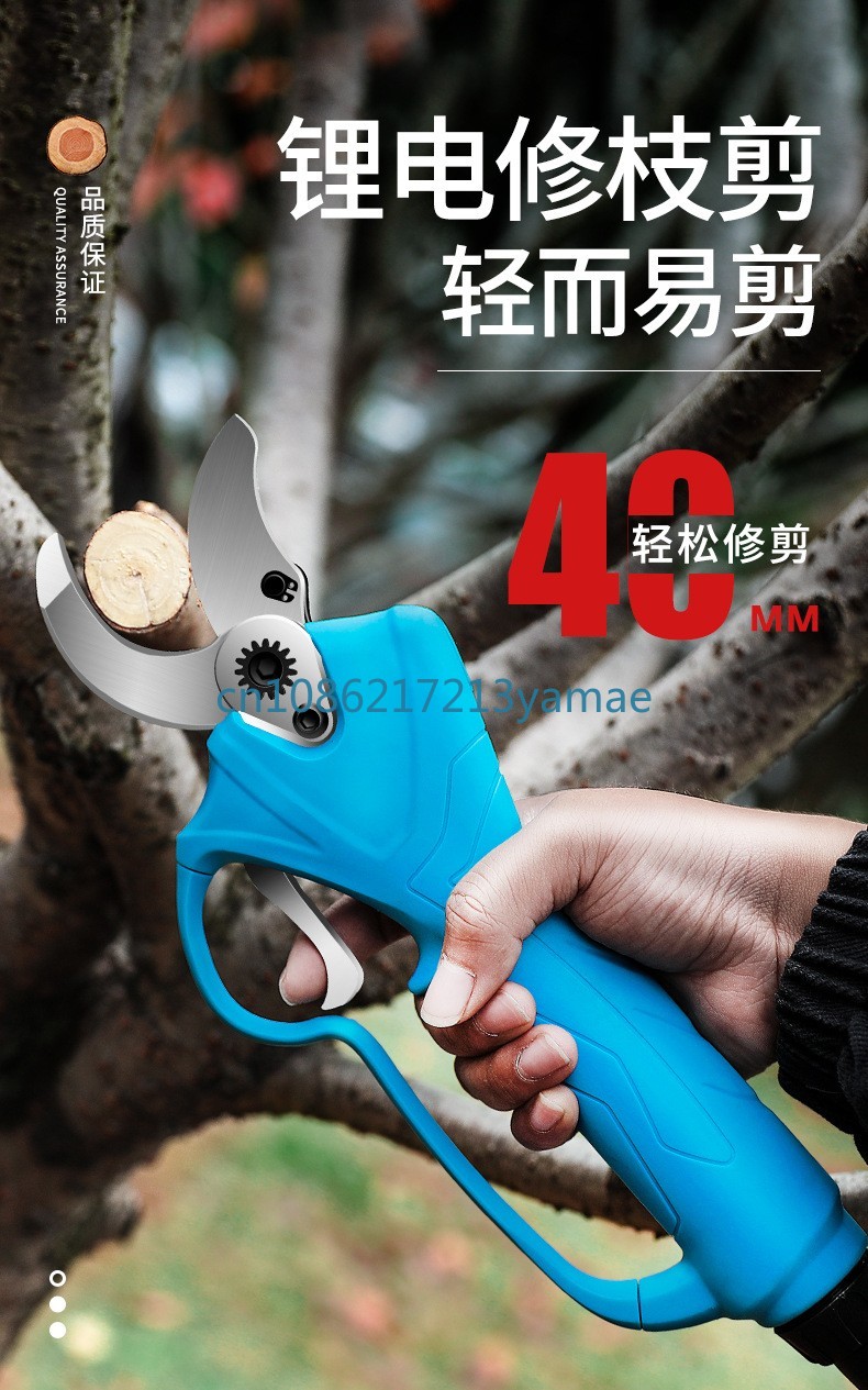 Lithium batterie Rucksack elek – Pruning Shears Bewertung und Preis