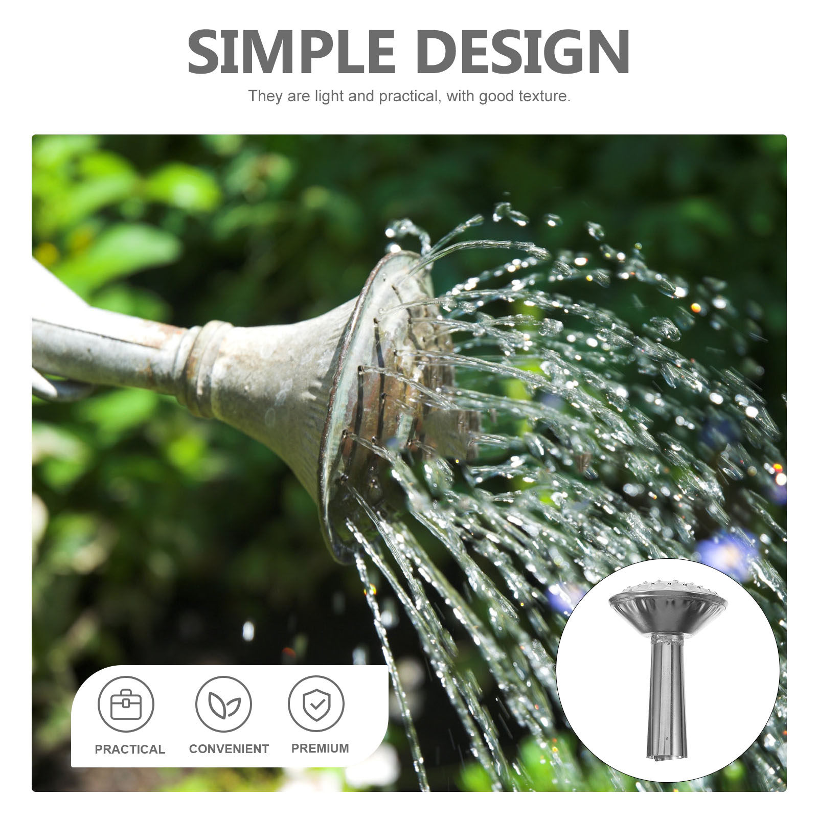 Edelstahl-Gießkanne mit Sprühk – Watering Can Bewertung und Preis