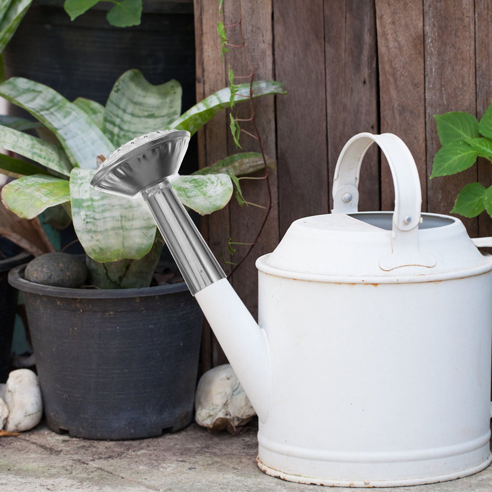 Edelstahl-Gießkanne mit Sprühk – Watering Can Bewertung und Preis