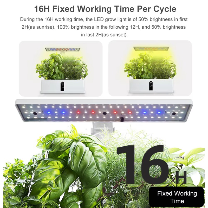 9-Pods Smart Hydroponisches An – Grow Light Led Bewertung und Preis