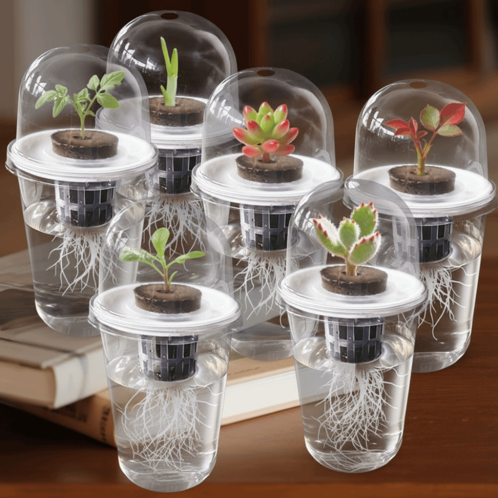 1-5 Stück Transparente Pflanze – Seed Starter Tray Bewertung und Preis
