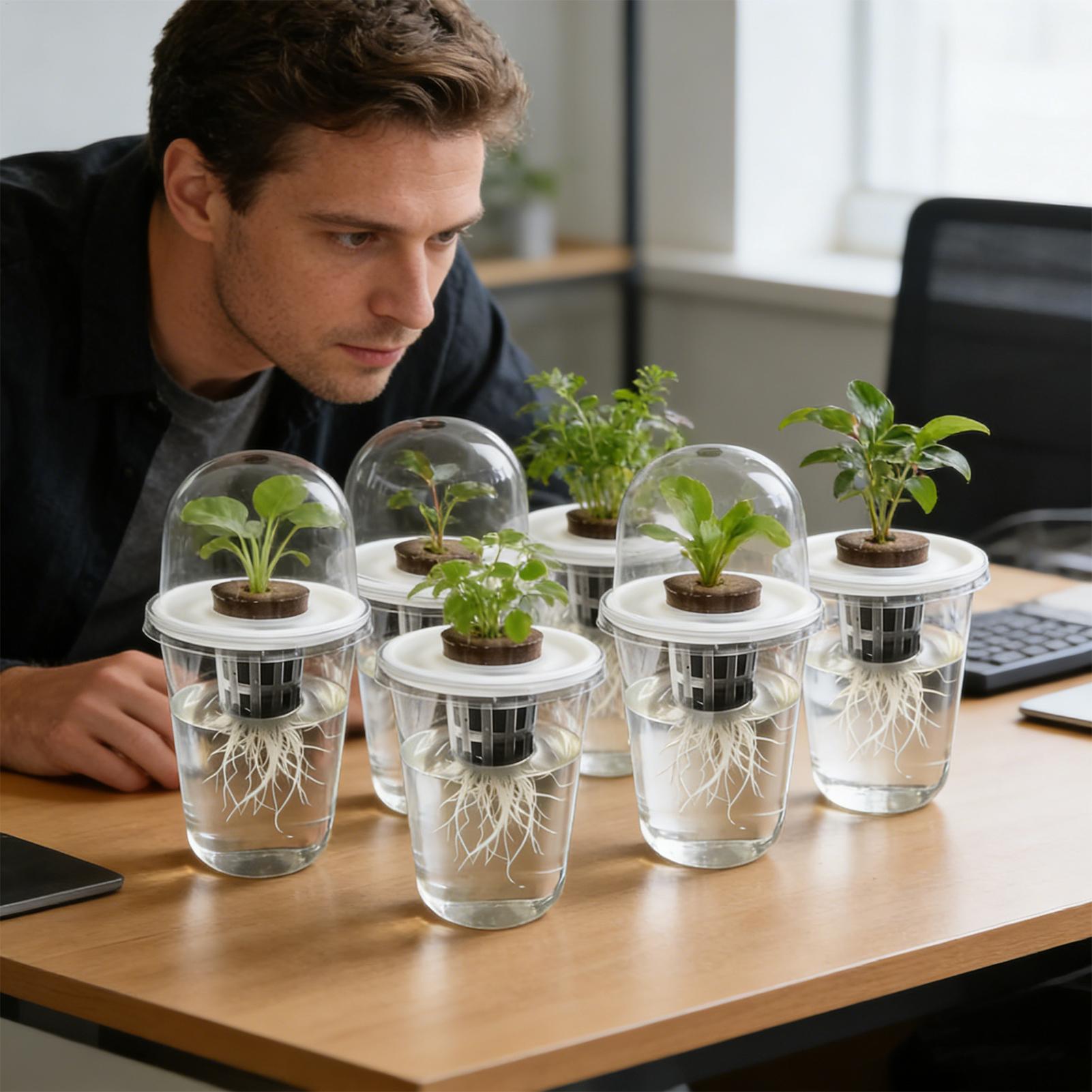 1-5 Stück Transparente Pflanze – Seed Starter Tray Bewertung und Preis