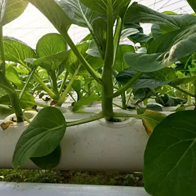 Bodenloses Anbausystem-Set, PV – Hydroponic Kit Bewertung und Preis