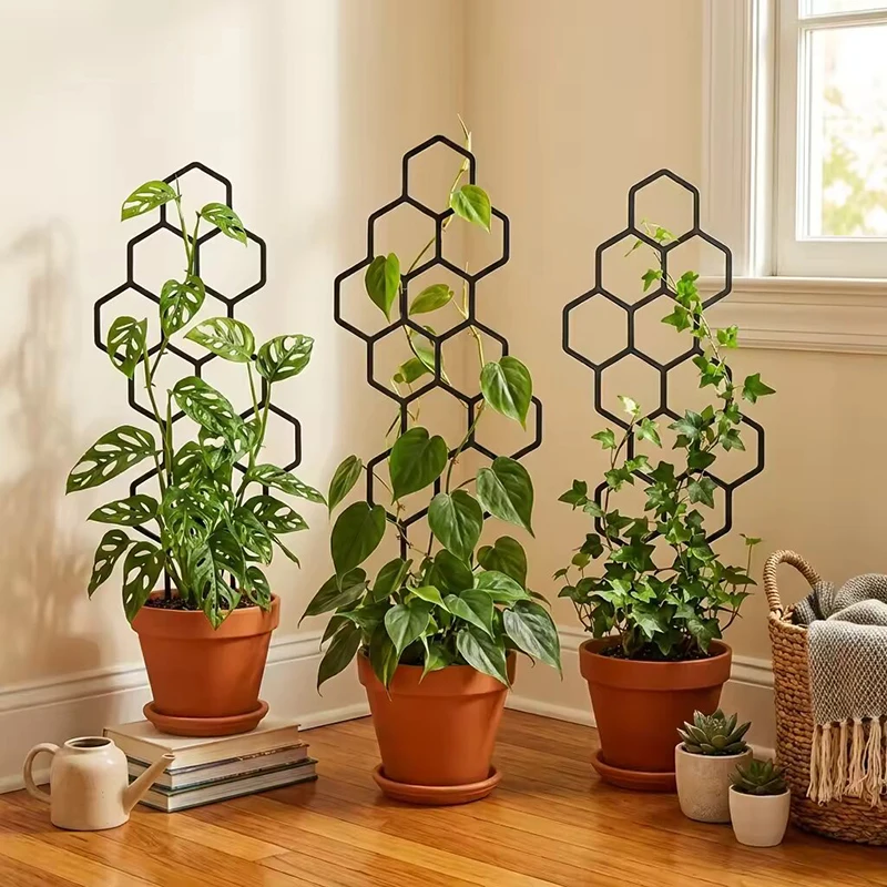 2/4 Stück Wabenförmiges Pflanz – Indoor Herb Garden Bewertung und Preis