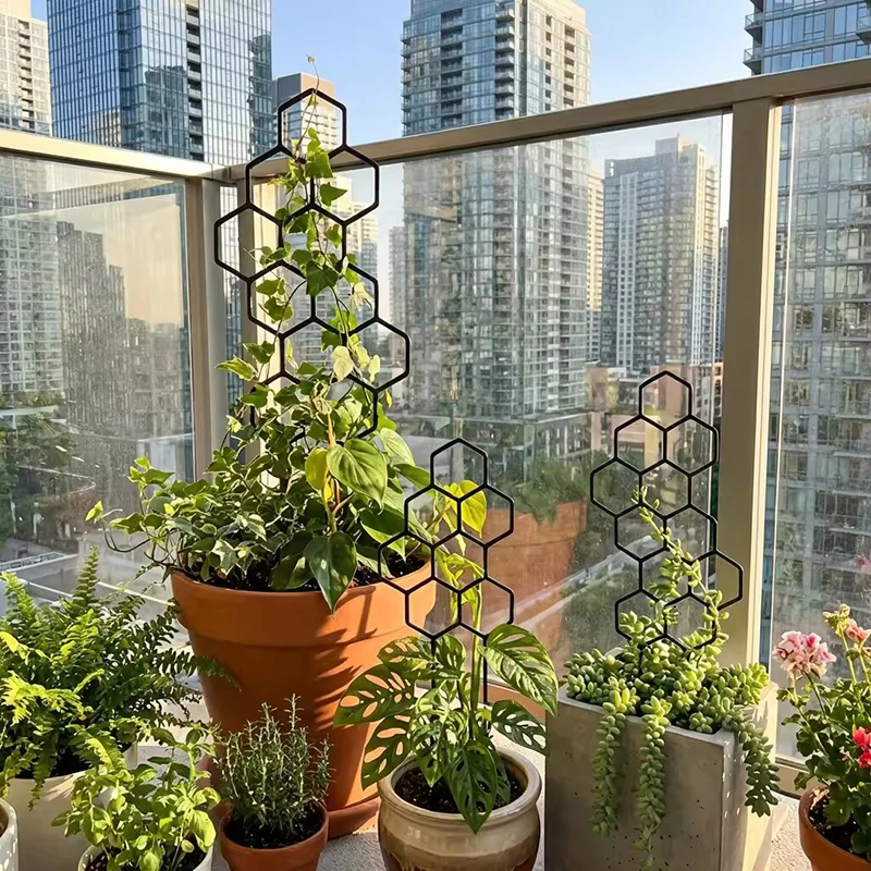 2/4 Stück Wabenförmiges Pflanz – Indoor Herb Garden Bewertung und Preis