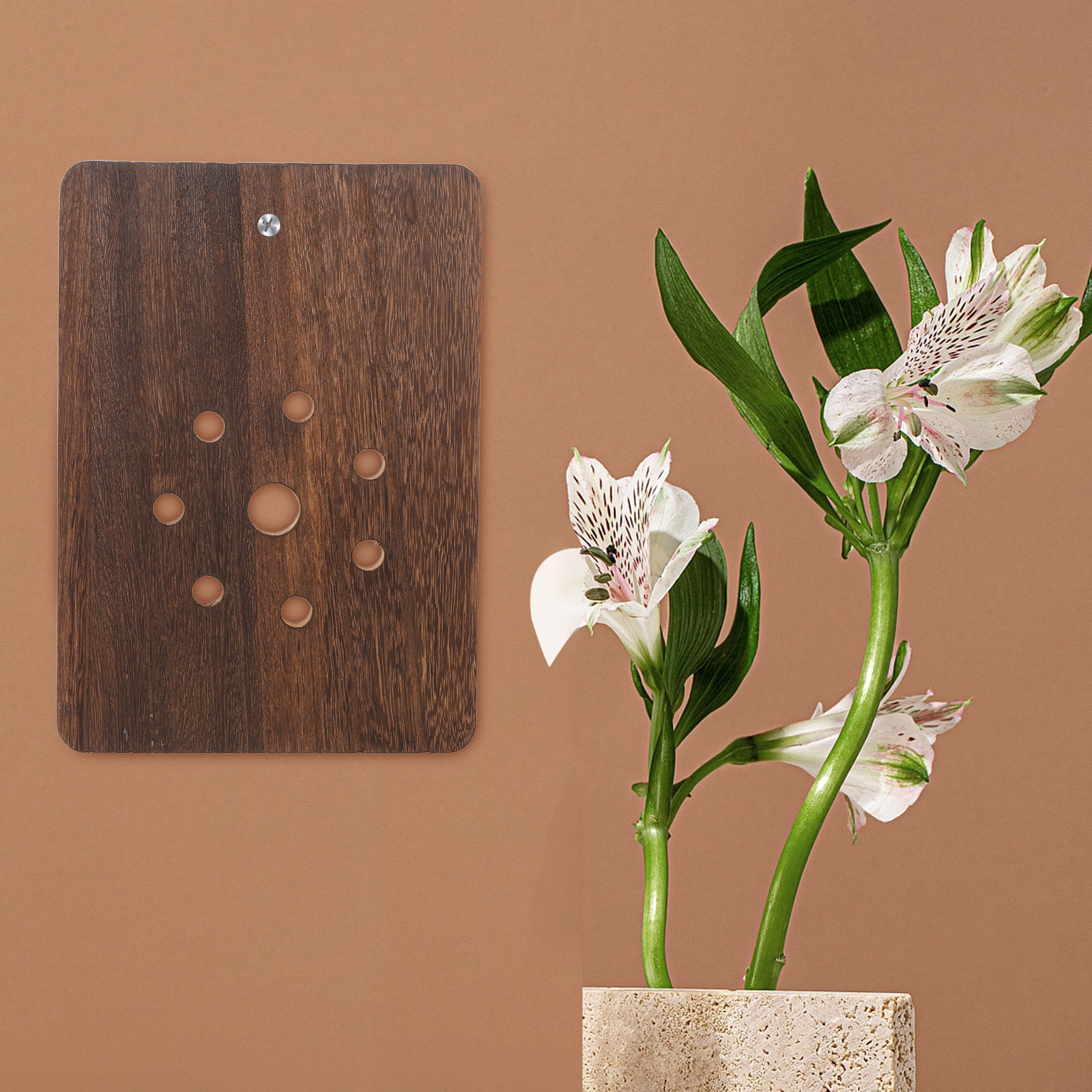 Montageplatte für Staghorn-Far – Vertical Planter Bewertung und Preis