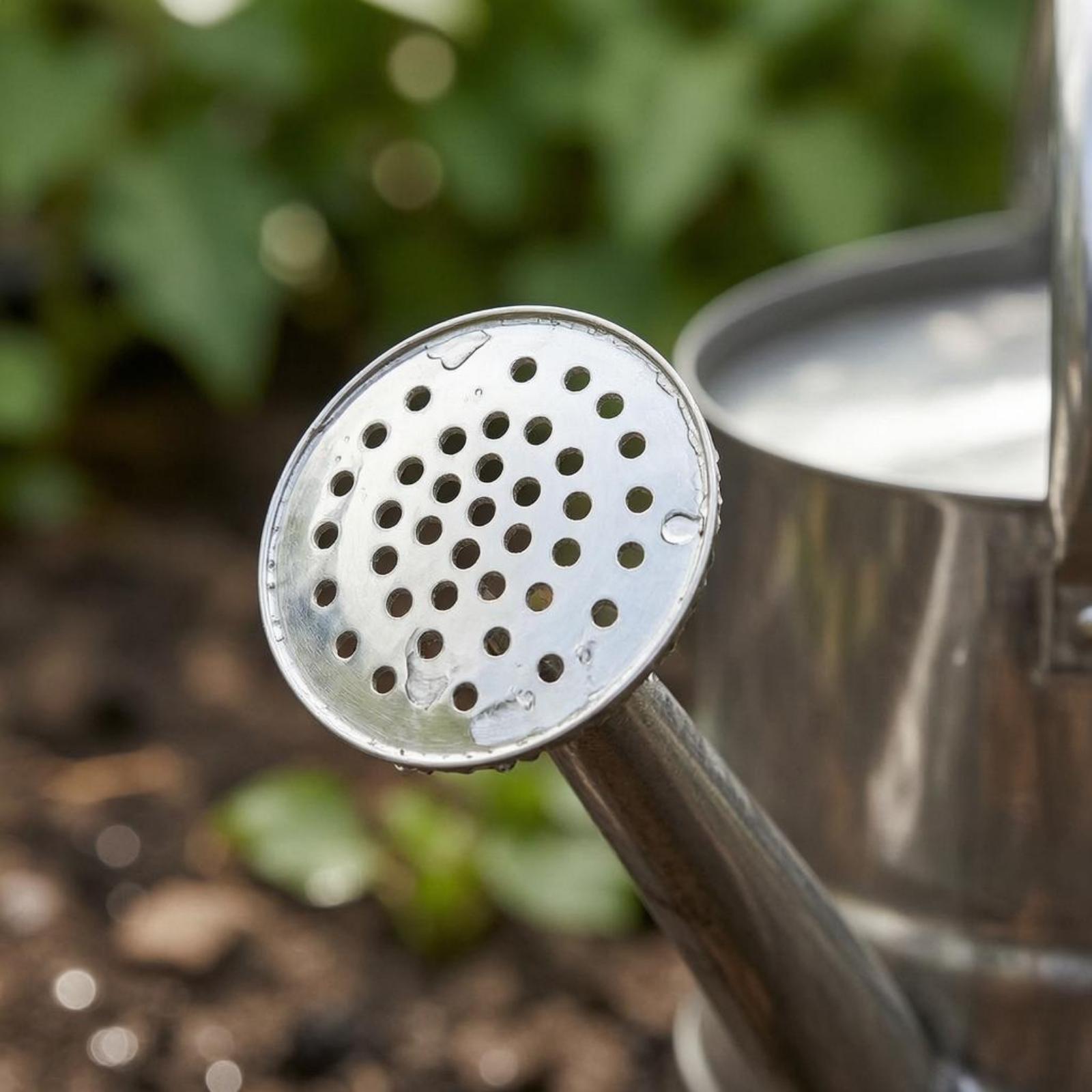 Garten-Blumen-Gießkanne aus Ed – Watering Can Bewertung und Preis