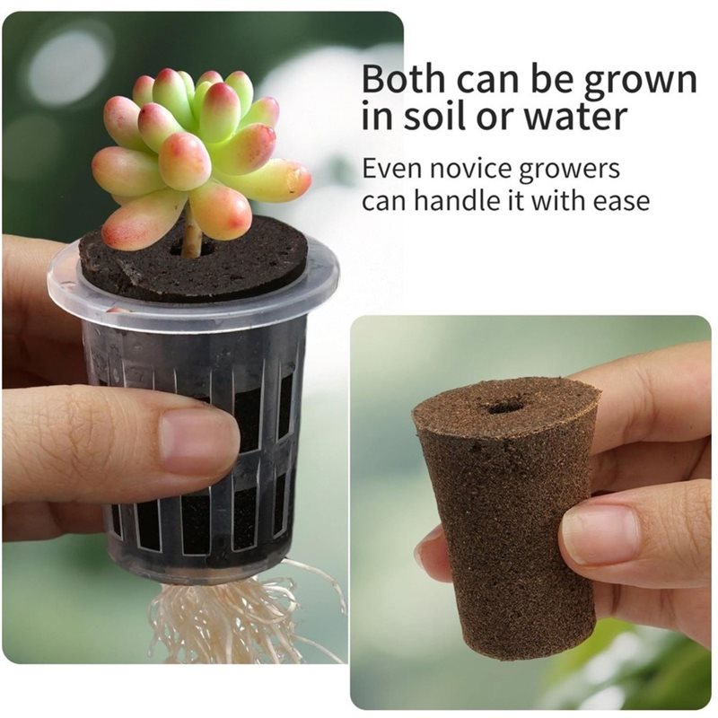 [ABFI!】 Hydroponischer Anzucht – Hydroponic Kit Bewertung und Preis