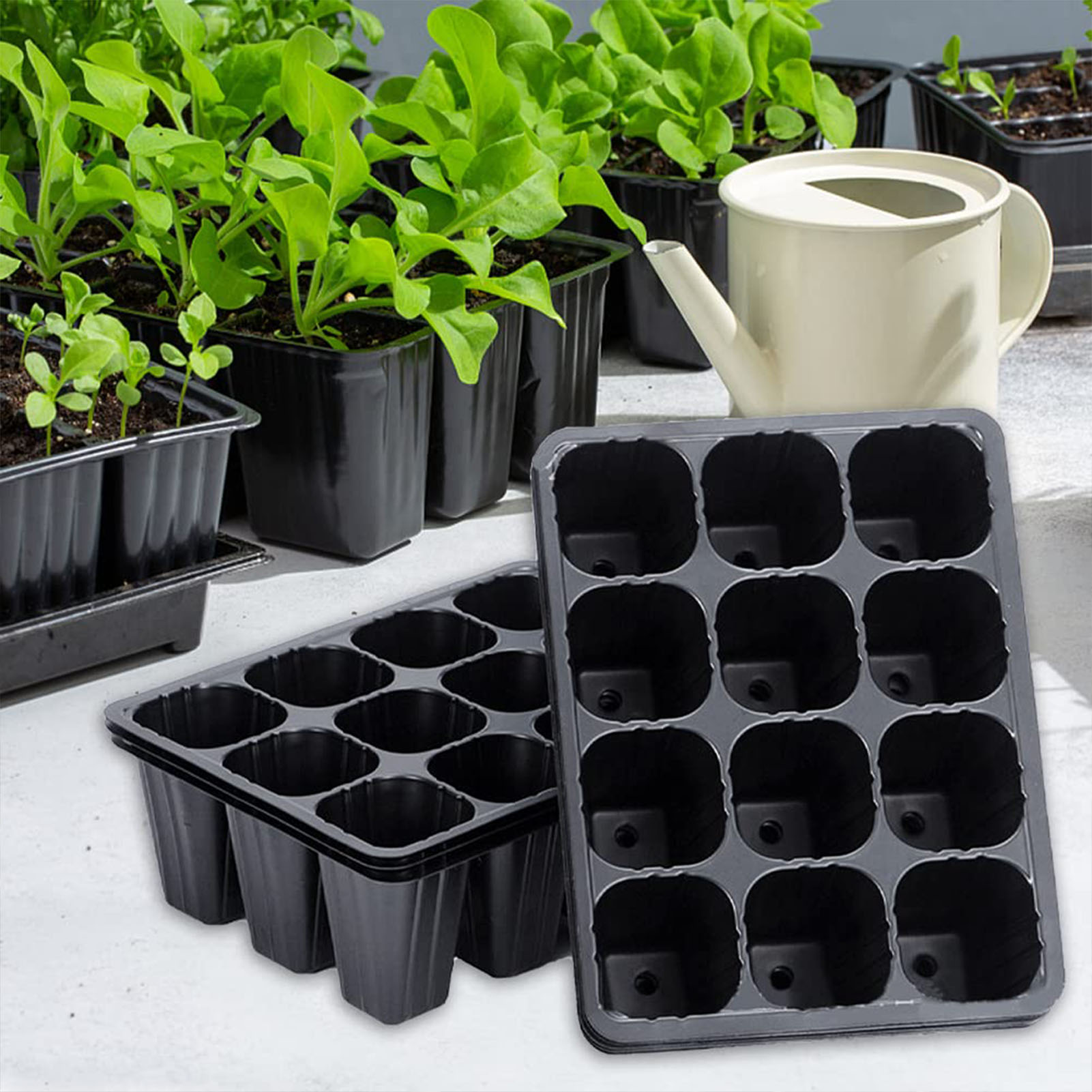 12-Loch Schwarze Kunststoff-An – Seed Starter Tray Bewertung und Preis