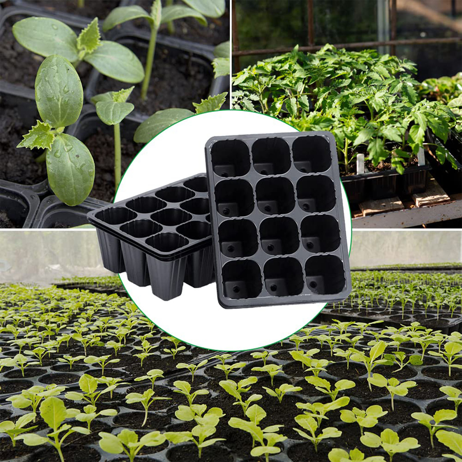 12-Loch Schwarze Kunststoff-An – Seed Starter Tray Bewertung und Preis