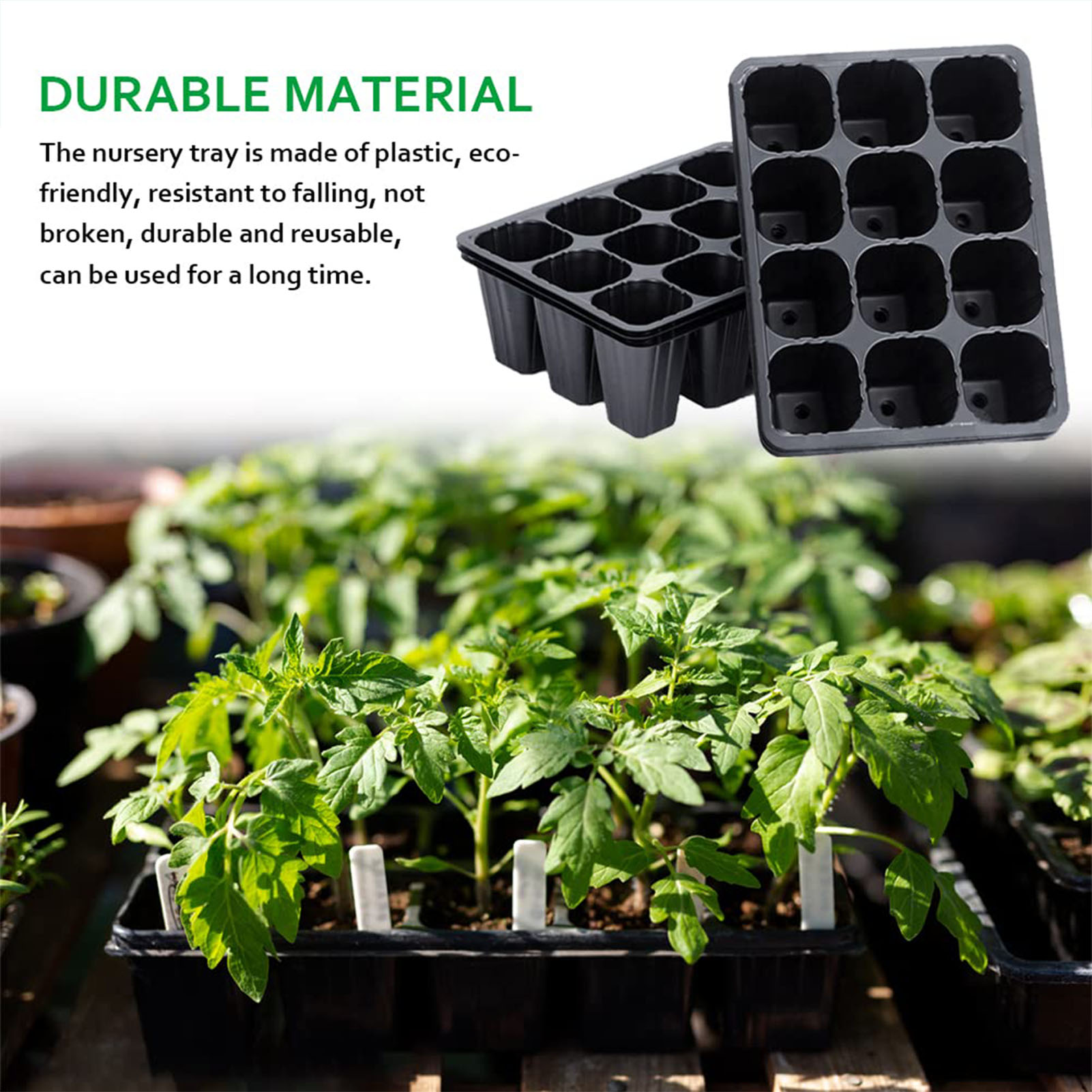 12-Loch Schwarze Kunststoff-An – Seed Starter Tray Bewertung und Preis