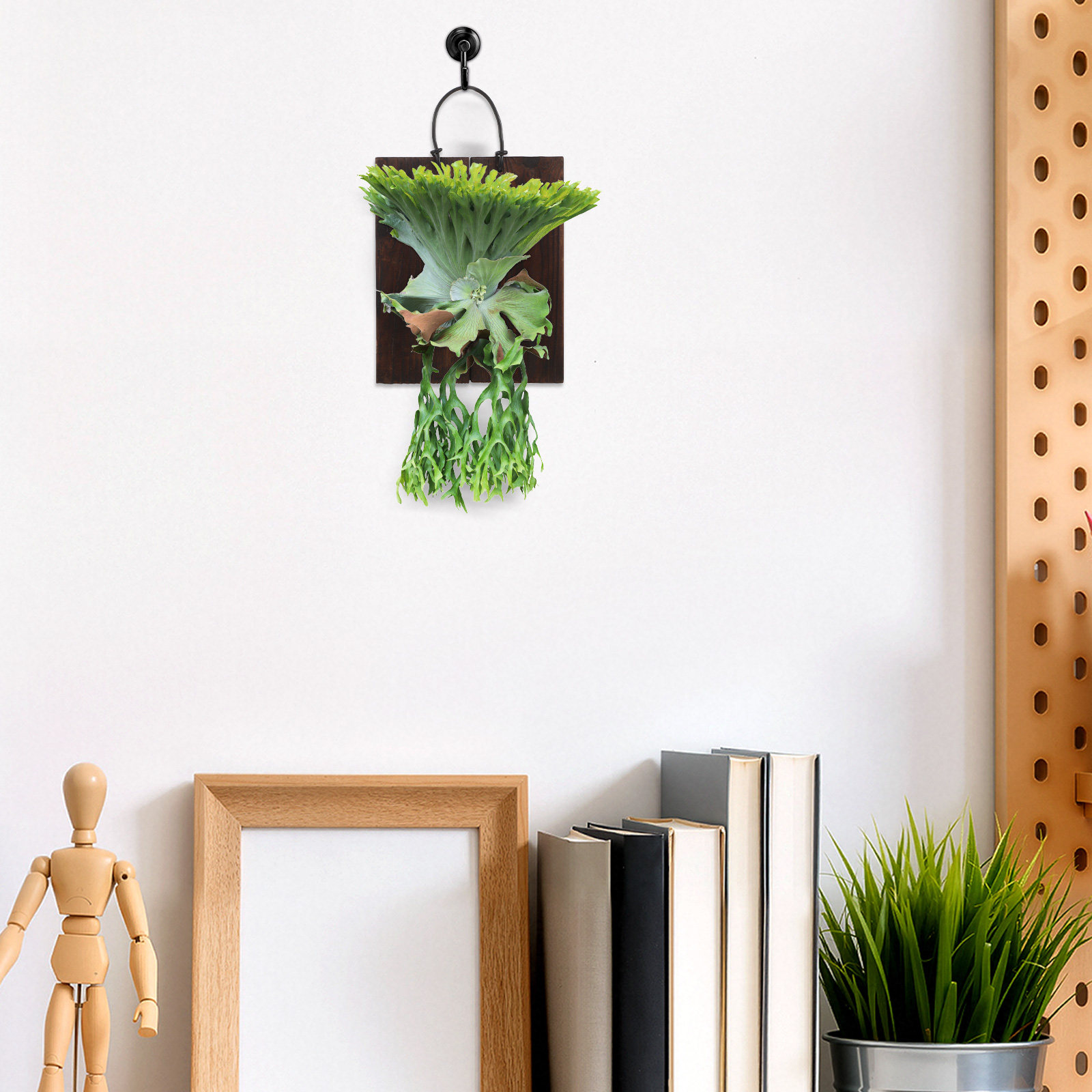 Montageplatte für Stachelfarn, – Vertical Planter Bewertung und Preis